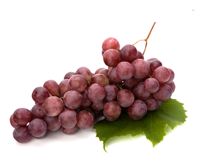 Grape Red Globe - INTIPA FOODS S.A.C